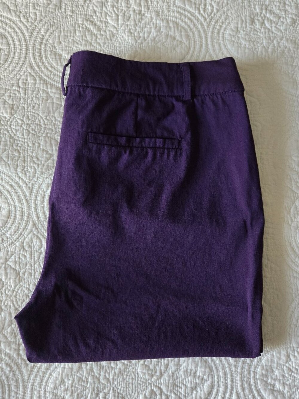 Purple Size 16 Capris from Ricki's